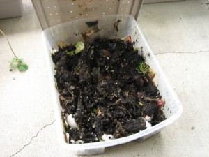 We put all our organic scraps in here (egg shells, peels, skins, etc.)