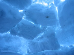 Our igloo from the inside