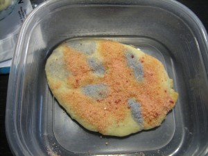 Jon's Dino Egg