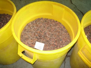 Bin of beans
