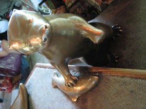 This otter is oppressing this poor fish!