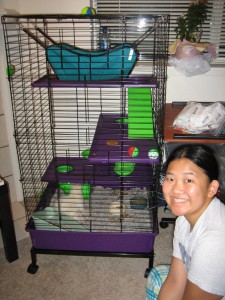 Pixel has a pretty sweet 3-story house