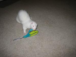Pixel hauling off a pair of scissors