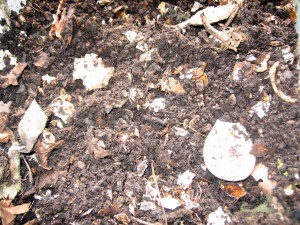 Compost successful