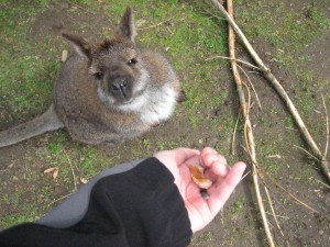 Feed Me