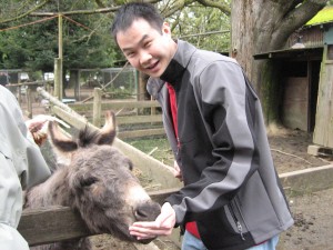 Donkey