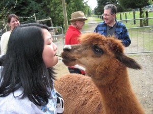 Llama kiss