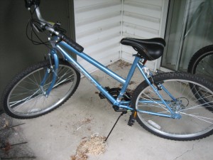 Angela's bikely beast