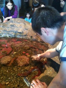 Jon feeding seaweed to a sea urchin