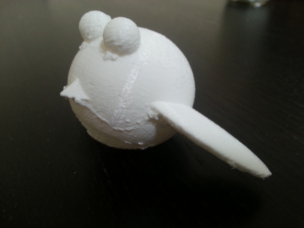 First bird print